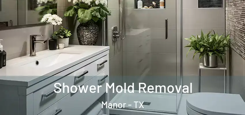  Shower Mold Removal Manor - TX
