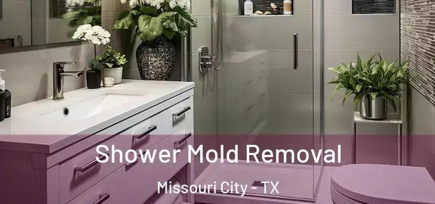 Shower Mold Removal Missouri City - TX