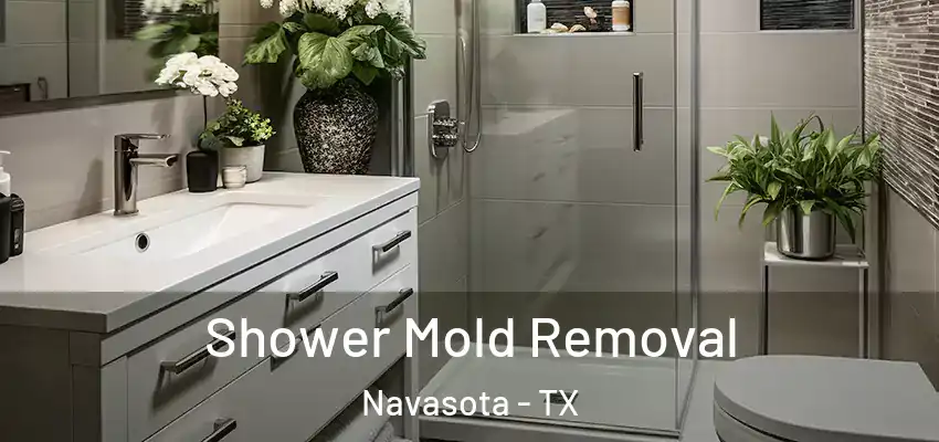 Shower Mold Removal Navasota - TX