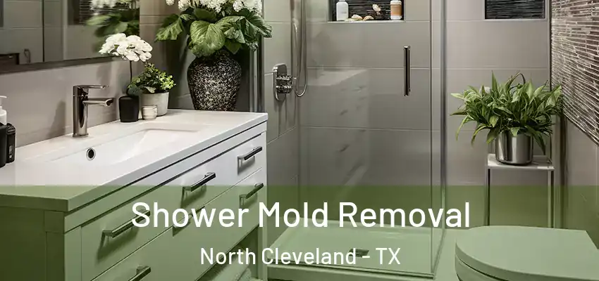 Shower Mold Removal North Cleveland - TX