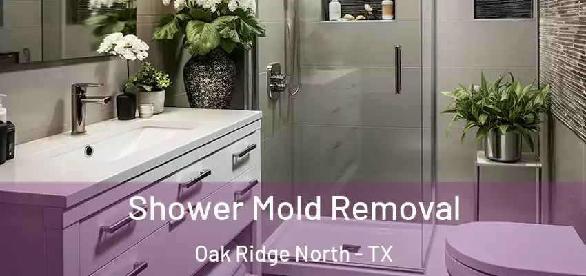 Shower Mold Removal Oak Ridge North - TX