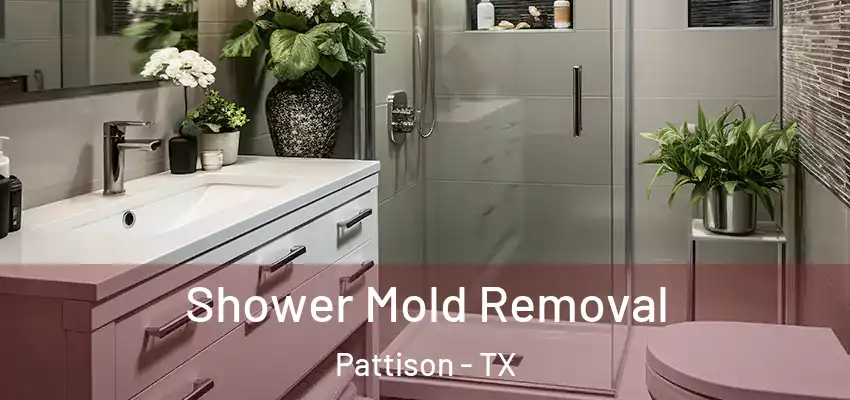  Shower Mold Removal Pattison - TX