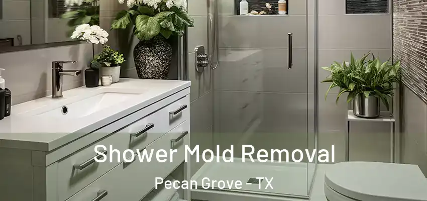  Shower Mold Removal Pecan Grove - TX
