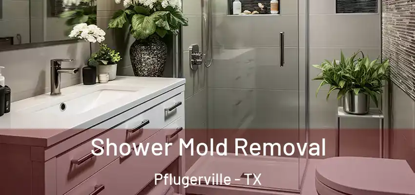 Shower Mold Removal Pflugerville - TX