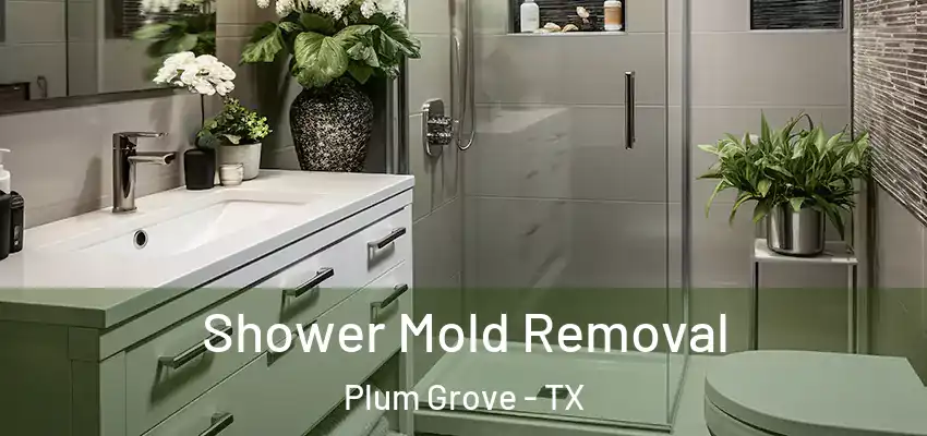  Shower Mold Removal Plum Grove - TX