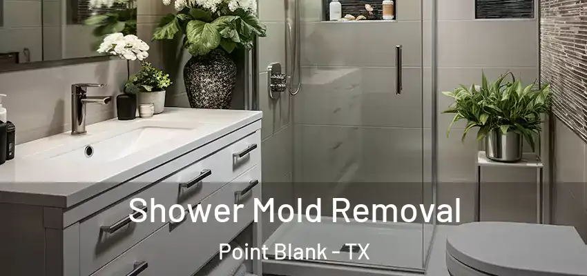 Shower Mold Removal Point Blank - TX