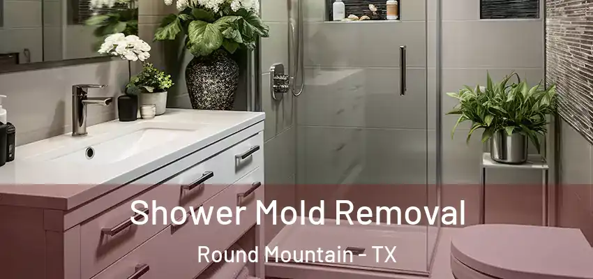 Shower Mold Removal Round Mountain - TX
