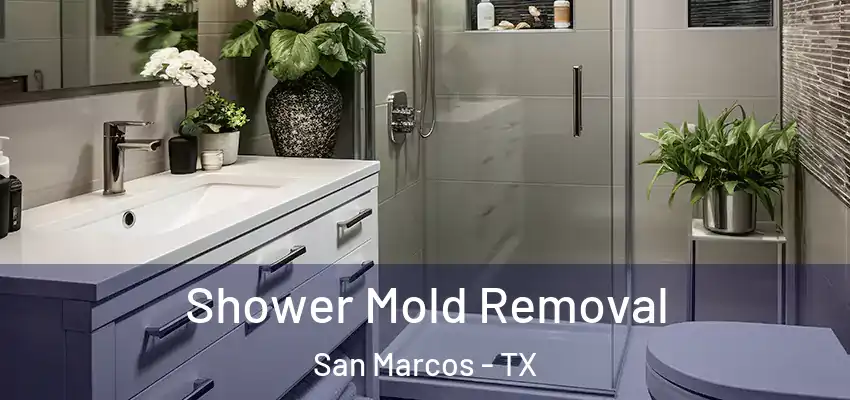  Shower Mold Removal San Marcos - TX