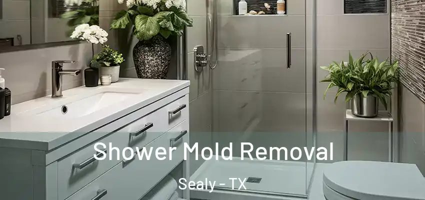 Shower Mold Removal Sealy - TX