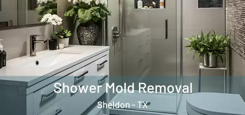  Shower Mold Removal Sheldon - TX