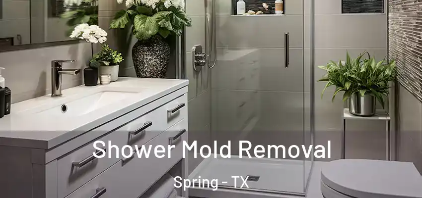  Shower Mold Removal Spring - TX