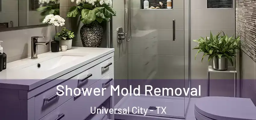 Shower Mold Removal Universal City - TX