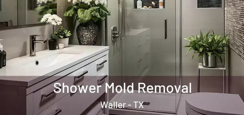  Shower Mold Removal Waller - TX