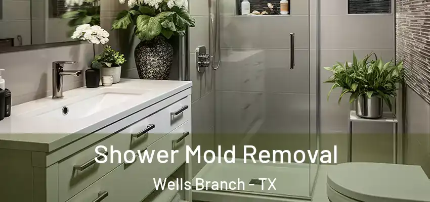  Shower Mold Removal Wells Branch - TX