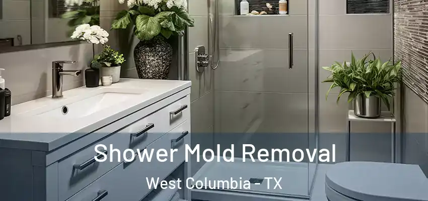  Shower Mold Removal West Columbia - TX