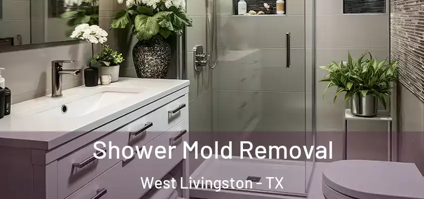  Shower Mold Removal West Livingston - TX